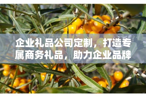 企业礼品公司定制，打造专属商务礼品，助力企业品牌发展